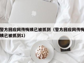 警方回应网传梅姨已被抓到（警方回应网传梅姨已被抓到1）