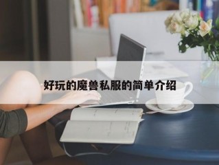 好玩的魔兽私服的简单介绍