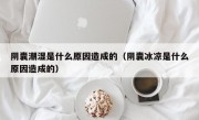 阴囊潮湿是什么原因造成的（阴囊冰凉是什么原因造成的）