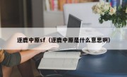 逐鹿中原sf（逐鹿中原是什么意思啊）