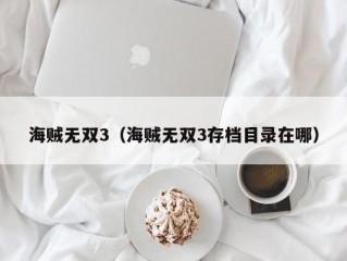 海贼无双3（海贼无双3存档目录在哪）