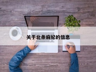 关于北条麻妃的信息