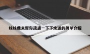 妹妹我来帮你疏通一下下水道的简单介绍