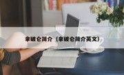 拿破仑简介（拿破仑简介英文）