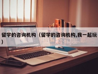 留学的咨询机构（留学的咨询机构,我一起玩）