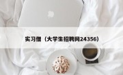 实习僧（大学生招聘网24356）