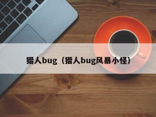 猎人bug（猎人bug风暴小怪）