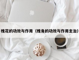 槐花的功效与作用（槐角的功效与作用主治）