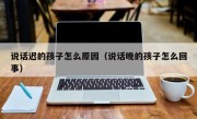 说话迟的孩子怎么原因（说话晚的孩子怎么回事）