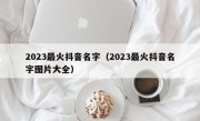 2023最火抖音名字（2023最火抖音名字图片大全）