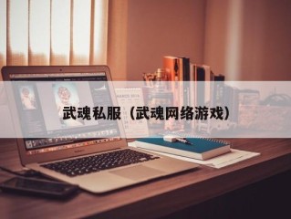 武魂私服（武魂网络游戏）