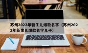 苏州2022年新生儿爆款名字（苏州2022年新生儿爆款名字儿子）