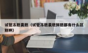 试管冻胚囊胚（试管冻胚囊胚鲜胚都有什么区别啊）