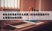 安吉白茶是属于什么茶类（安吉白茶是属于什么茶类功效和作用）