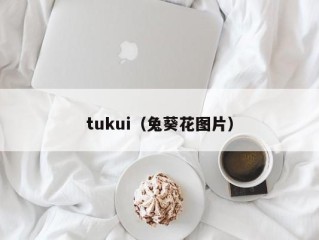 tukui（兔葵花图片）