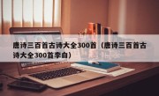 唐诗三百首古诗大全300首（唐诗三百首古诗大全300首李白）