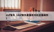 dnf复仇（dnf复仇者是百分比还是固伤）