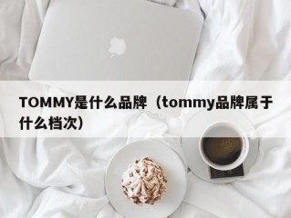 TOMMY是什么品牌（tommy品牌属于什么档次）