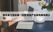 新天翼之链私服（合肥德瀚产业园发展有限公司）