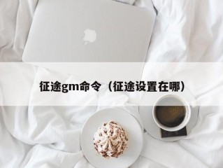 征途gm命令（征途设置在哪）