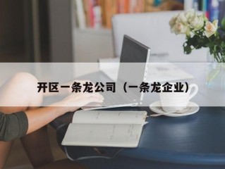 开区一条龙公司（一条龙企业）