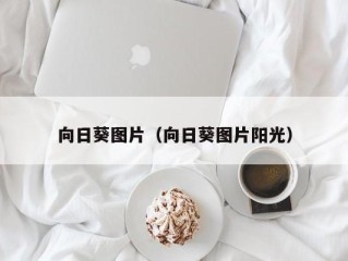 向日葵图片（向日葵图片阳光）